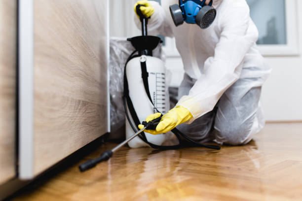 Best Pest Inspection Near Me  in Carrollton, MO
