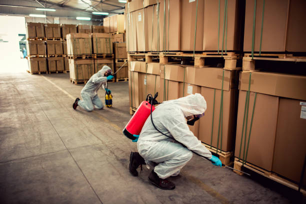 Best Bed Bug Extermination  in Carrollton, MO