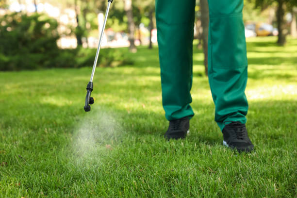 Best Residential Pest Control  in Carrollton, MO