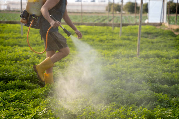 Best Ant Control Services  in Carrollton, MO