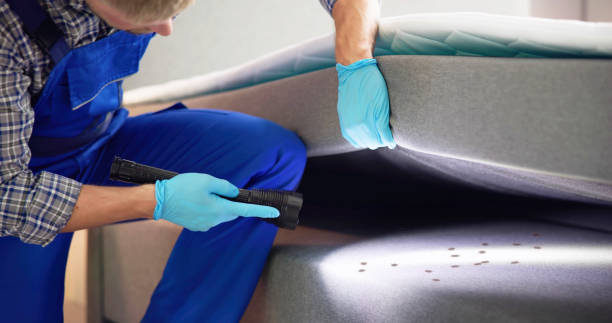 Best Rat Extermination Near Me  in Carrollton, MO