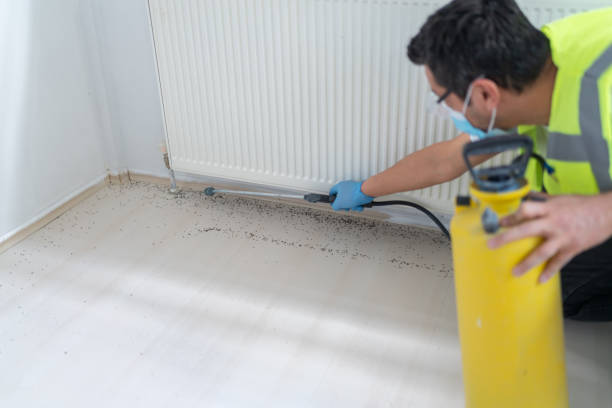 Best Mosquito Control Services  in Carrollton, MO