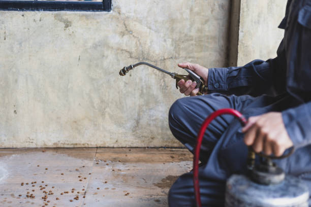 Best Best Pest Control Companies  in Carrollton, MO