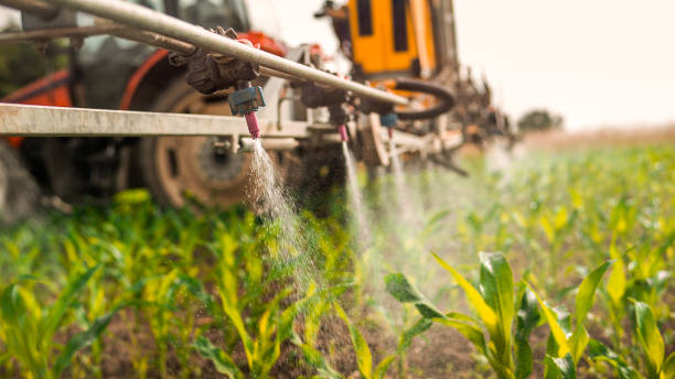 Best Commercial Pest Control Services  in Carrollton, MO